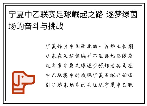 宁夏中乙联赛足球崛起之路 逐梦绿茵场的奋斗与挑战